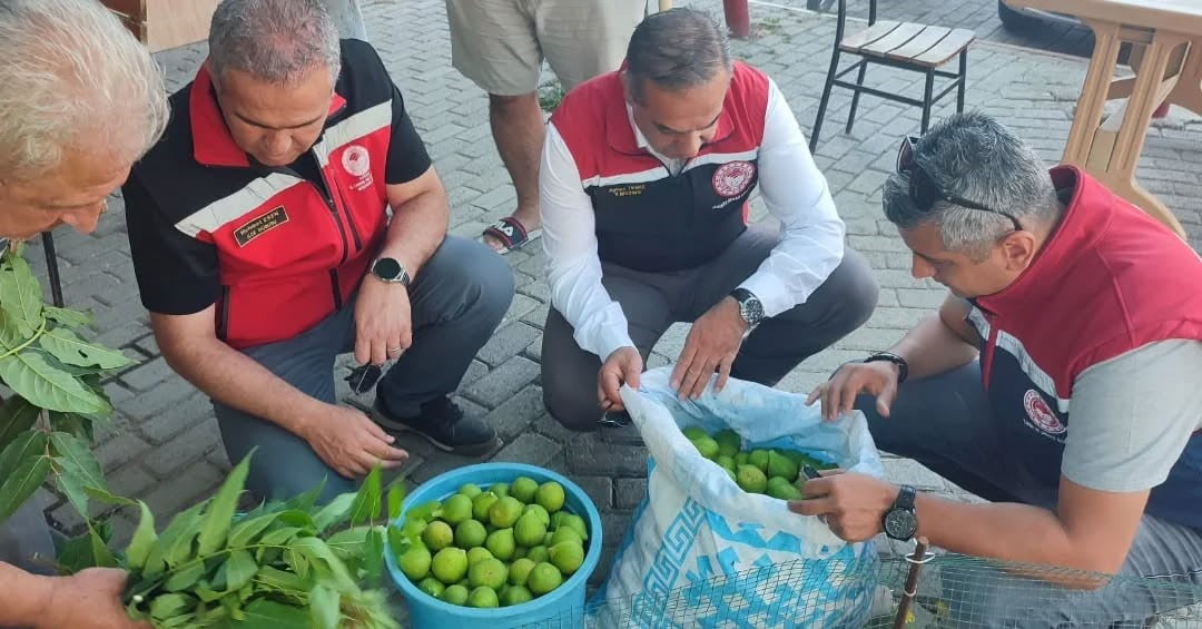 AYDIN İL TARIM VE ORMAN MÜDÜRÜ AYHAN TEMİZ, İNCİR ÜRETİMİNDE KALİTE VE VERİM AÇISINDAN BÜYÜK ÖNEM...