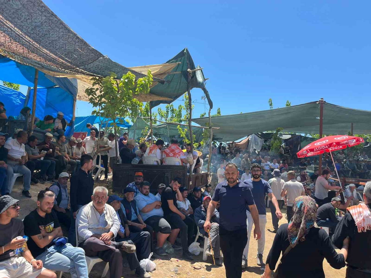 AYDIN’IN GERMENCİK İLÇESİNDE DÜZENLENEN 28. GELENEKSEL ÇAMKÖY BOĞA GÜREŞİ FESTİVALİ’NDE 63 ÇİFT...