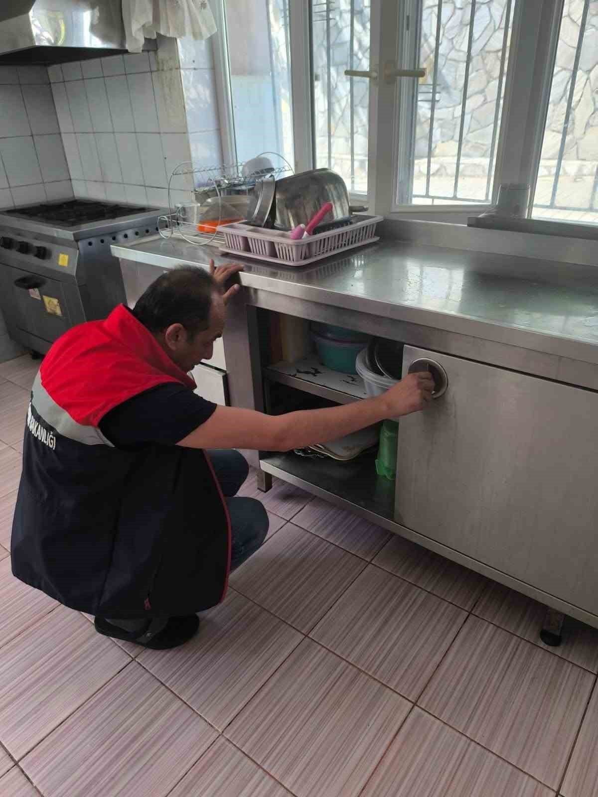 AYDIN’IN KÖŞK İLÇESİNDE GIDA İŞLETMELERİNE YÖNELİK RUTİN DENETİMLER GERÇEKLEŞTİRİLDİ. İLÇE TARIM...
