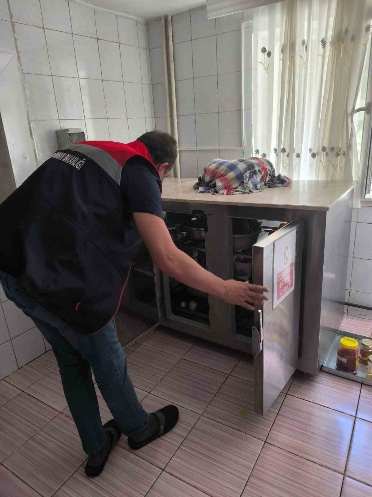 AYDIN’IN KÖŞK İLÇESİNDE GIDA İŞLETMELERİNE YÖNELİK RUTİN DENETİMLER GERÇEKLEŞTİRİLDİ. İLÇE TARIM...
