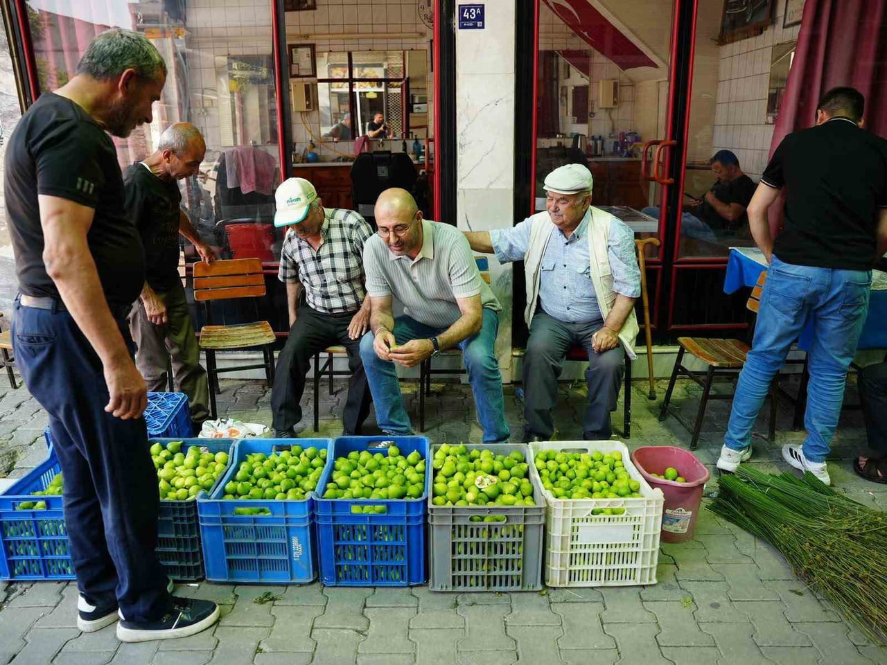 AYDIN’IN SEMBOL ÜRÜNÜ İNCİR MEYVESİNİN OLGUNLAŞMASI İÇİN KULLANILAN ERKEK İNCİR (İLEK) SATIŞLARI...