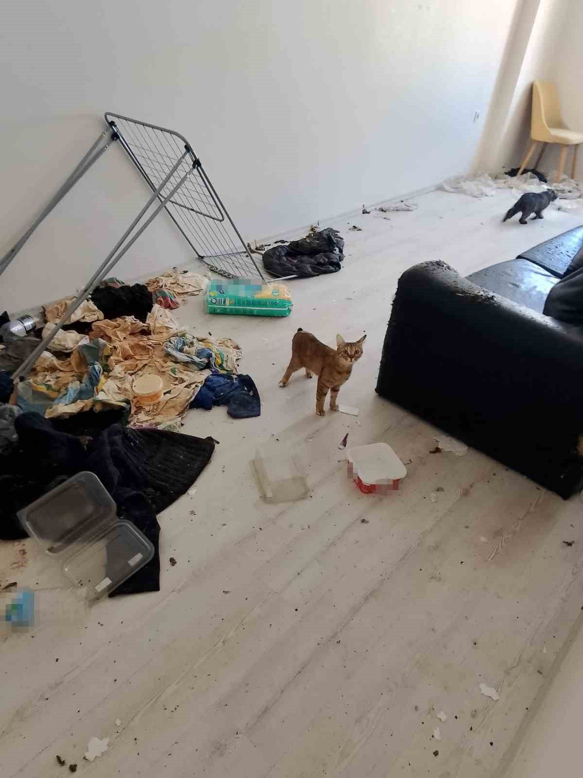 BAHÇELİEVLER MAHALLESİ'NDE BİR APARTMANIN 3. KATINDAN YAYILAN VE BİNA SAKİNLERİNİ CANINDAN...