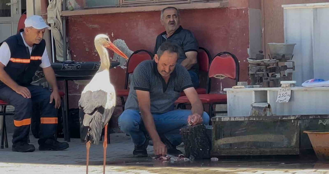 BALIKÇI AHMET İLE LEYLEĞİN DOSLUĞU GÖZ KAMAŞTIRIYOR