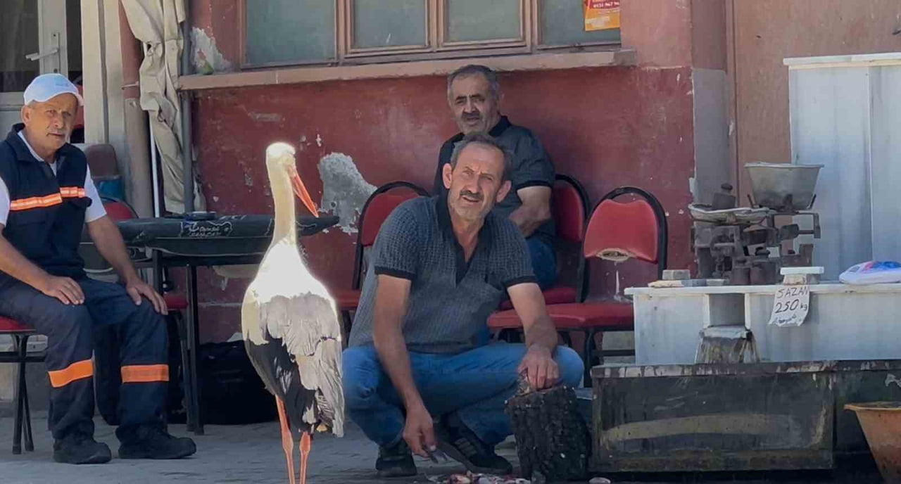 BALIKÇI AHMET İLE LEYLEĞİN DOSLUĞU GÖZ KAMAŞTIRIYOR