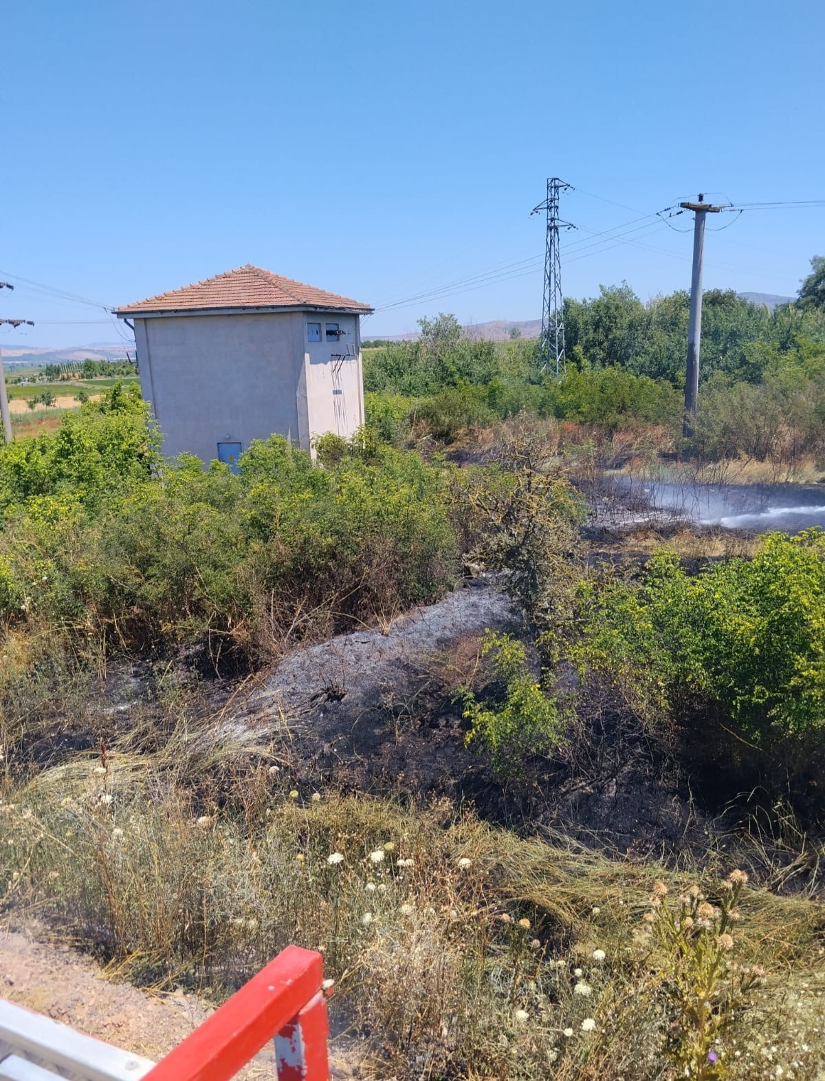 BALIKESİR'DE OT YANGINI KORKUTTU