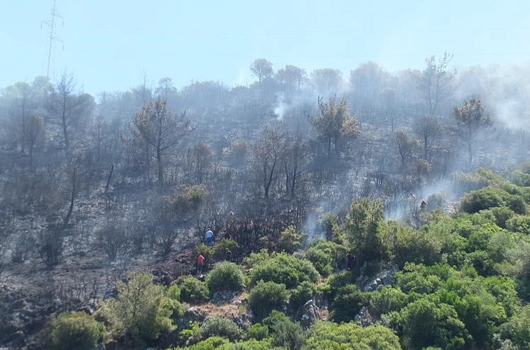 BALIKESİR'DEKİ ORMAN YANGINI KONTROL ALTINA ALINDI