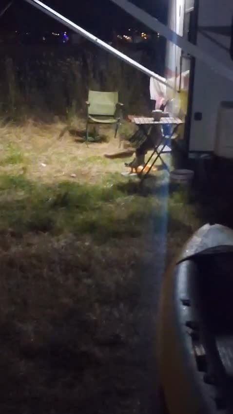 BALIKESİR'İN AYVALIK İLÇESİNE BAĞLI CUNDA ADASI'NDA BULUNAN BİR KAMP ALANINA GECE SAATLERİNDE...