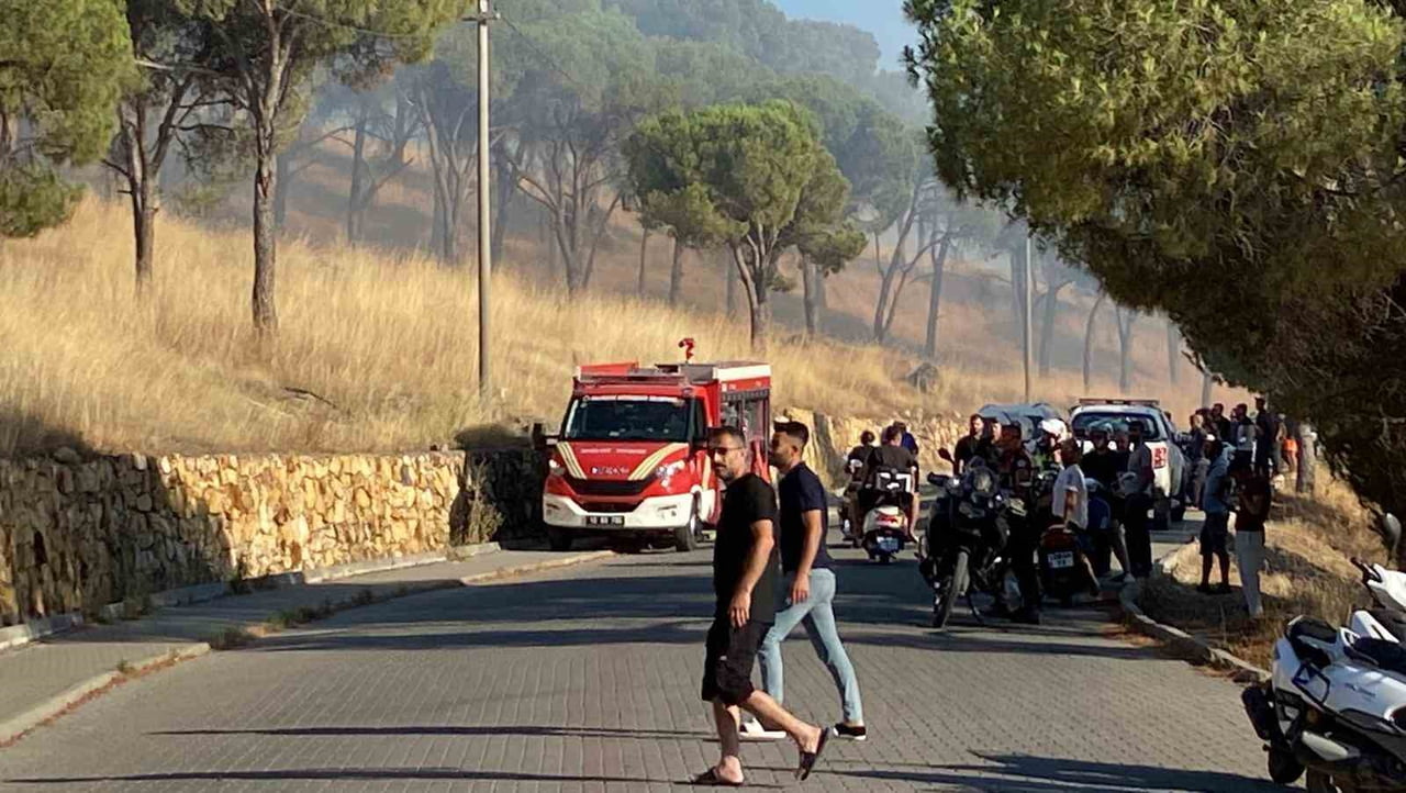 BALIKESİR AYVALIK'TA ÇIKAN ÖRTÜ YANGINI KONTROL ALTINA ALINDI