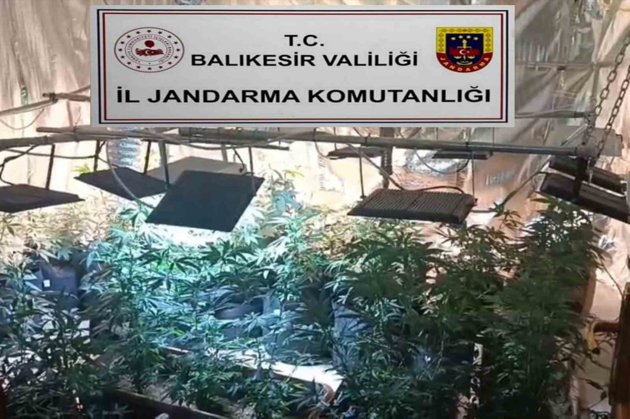 BALIKESİR İL JANDARMA KOMUTANLIĞI EKİPLERİNCE, İL GENELİNDE UYUŞTURUCU MADDE ÜRETİMİ VE TİCARETİNE...
