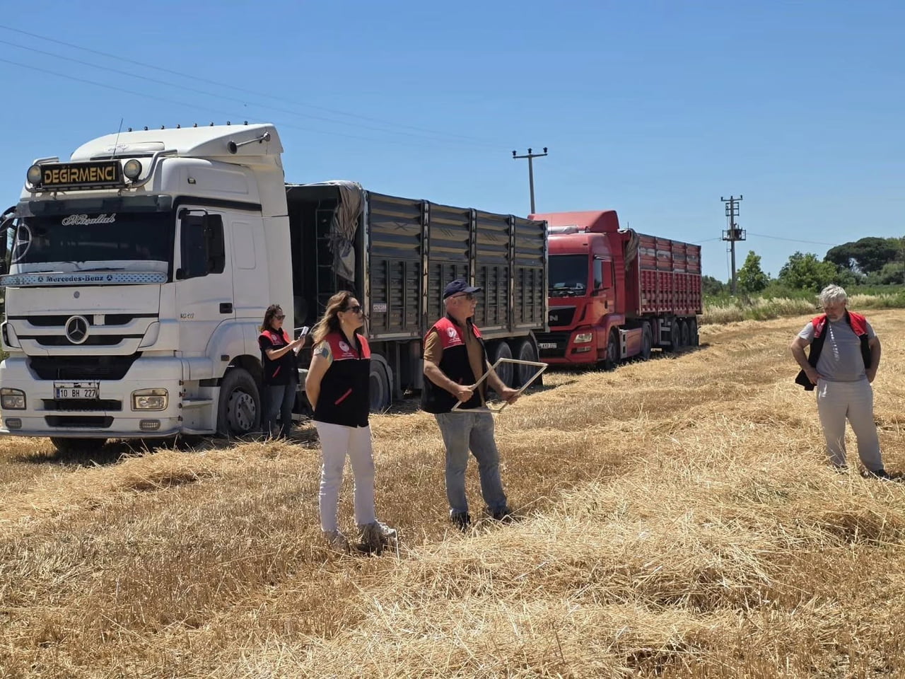 BALIKESİR’İN EDREMİT İLÇESİNDE STRATEJİK TARIM ÜRÜNLERİNDEN BUĞDAYIN HASAT MEVSİMİ RESMEN...