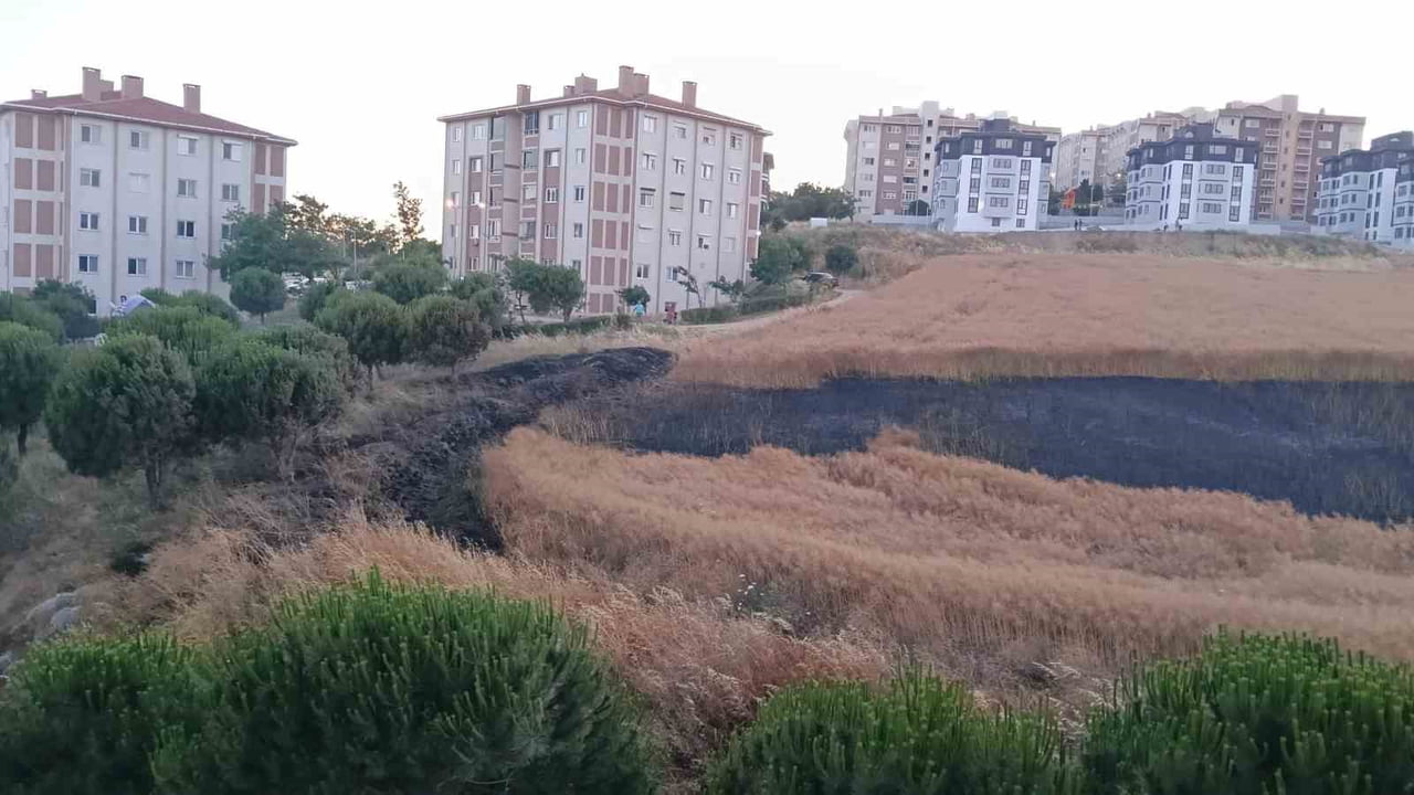 BANDIRMA’DA BUĞDAY TARLASI YANGINI KORKUTTU