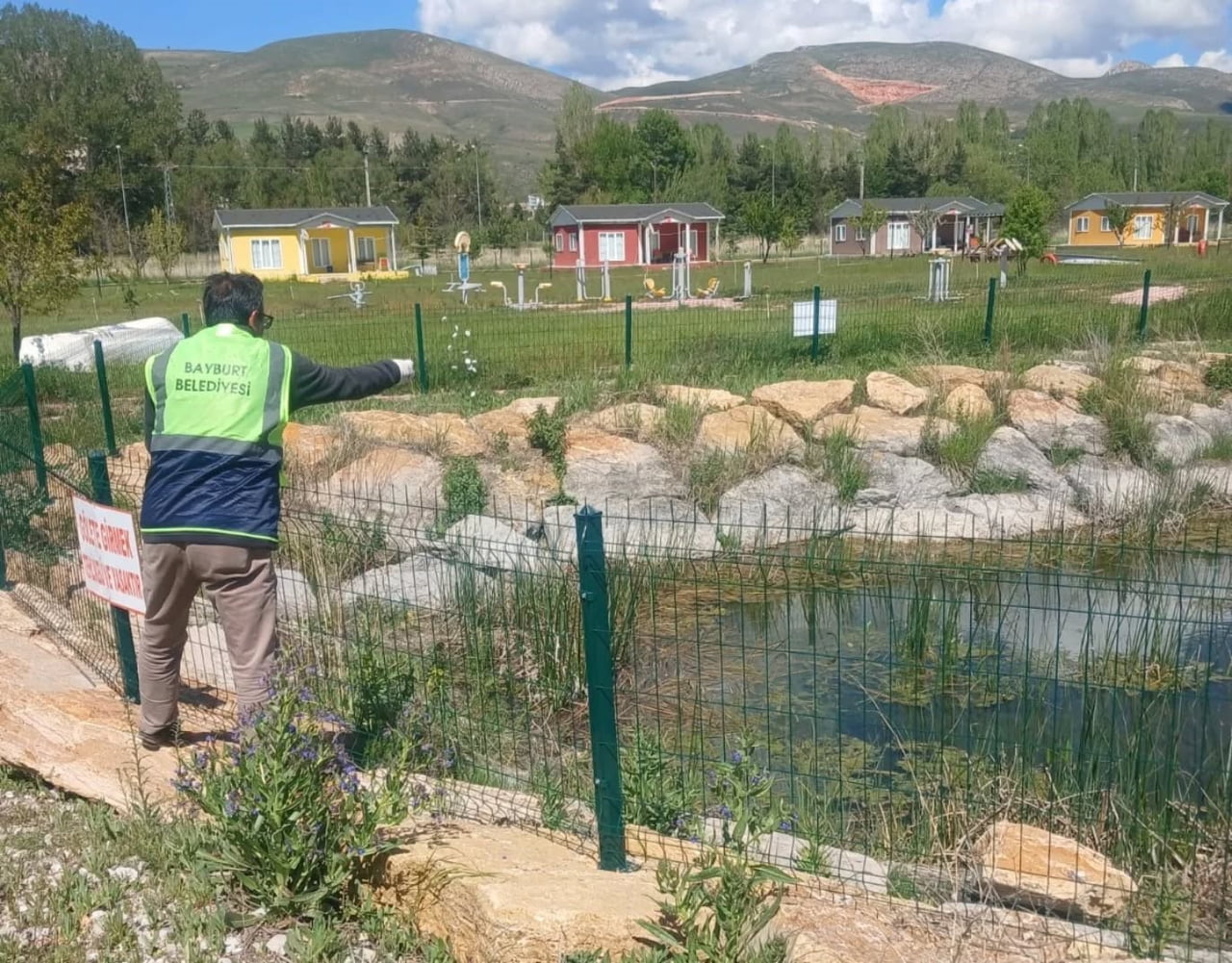 BAYBURT'TA LARVA İLAÇLAMASI VE TEMİZLİK ÇALIŞMALARI SÜRÜYOR