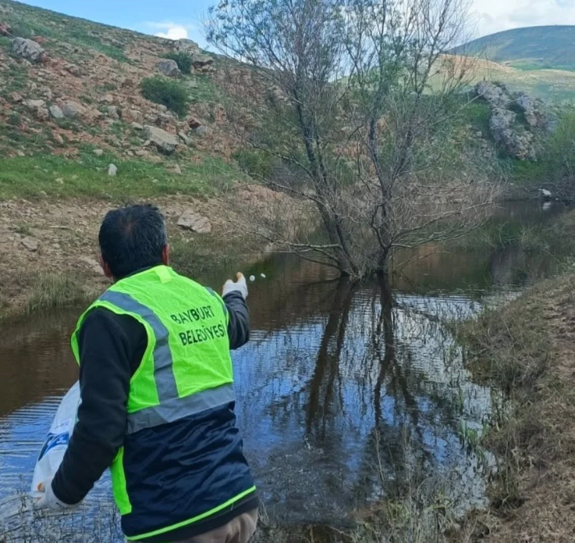 BAYBURT'TA LARVA İLAÇLAMASI VE TEMİZLİK ÇALIŞMALARI SÜRÜYOR