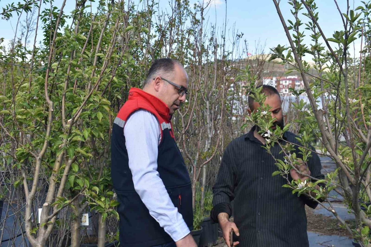 BAYBURT'TA SÜS BİTKİSİ VE TIBBİ AROMATİK BİTKİ ÜRETİMİ YERİNDE İNCELENDİ