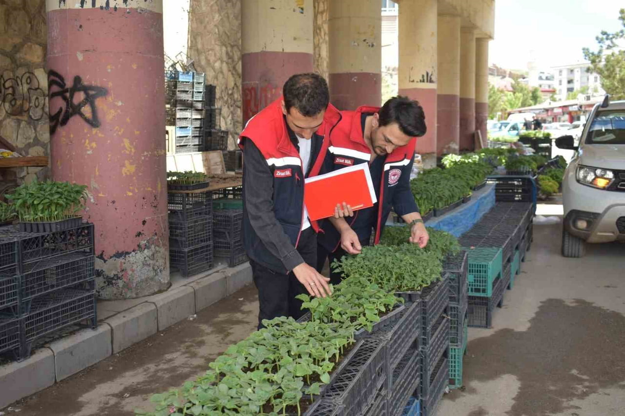 BAYBURT’TA FİDE VE FİDAN SATIŞ YERLERİ DENETLENDİ
