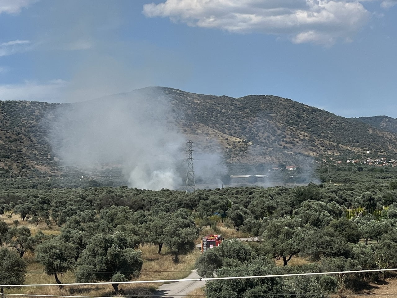 BAYINDIR’DA ZEYTİNLİK ALANDA YANGIN