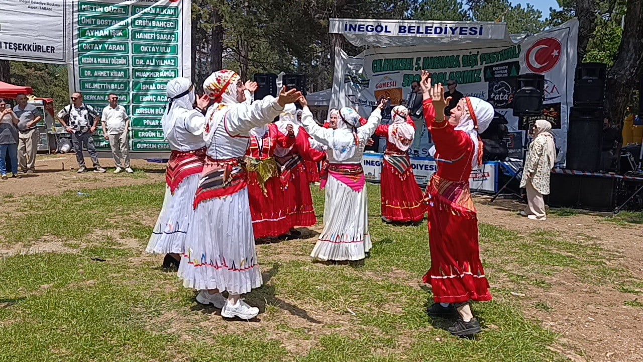 BİLECİK'İN PAZARYERİ İLÇESİNDE BULUNAN KÜÇÜKELMALI TABİAT PARKI, BU YIL 5'İNCİSİ DÜZENLENEN...