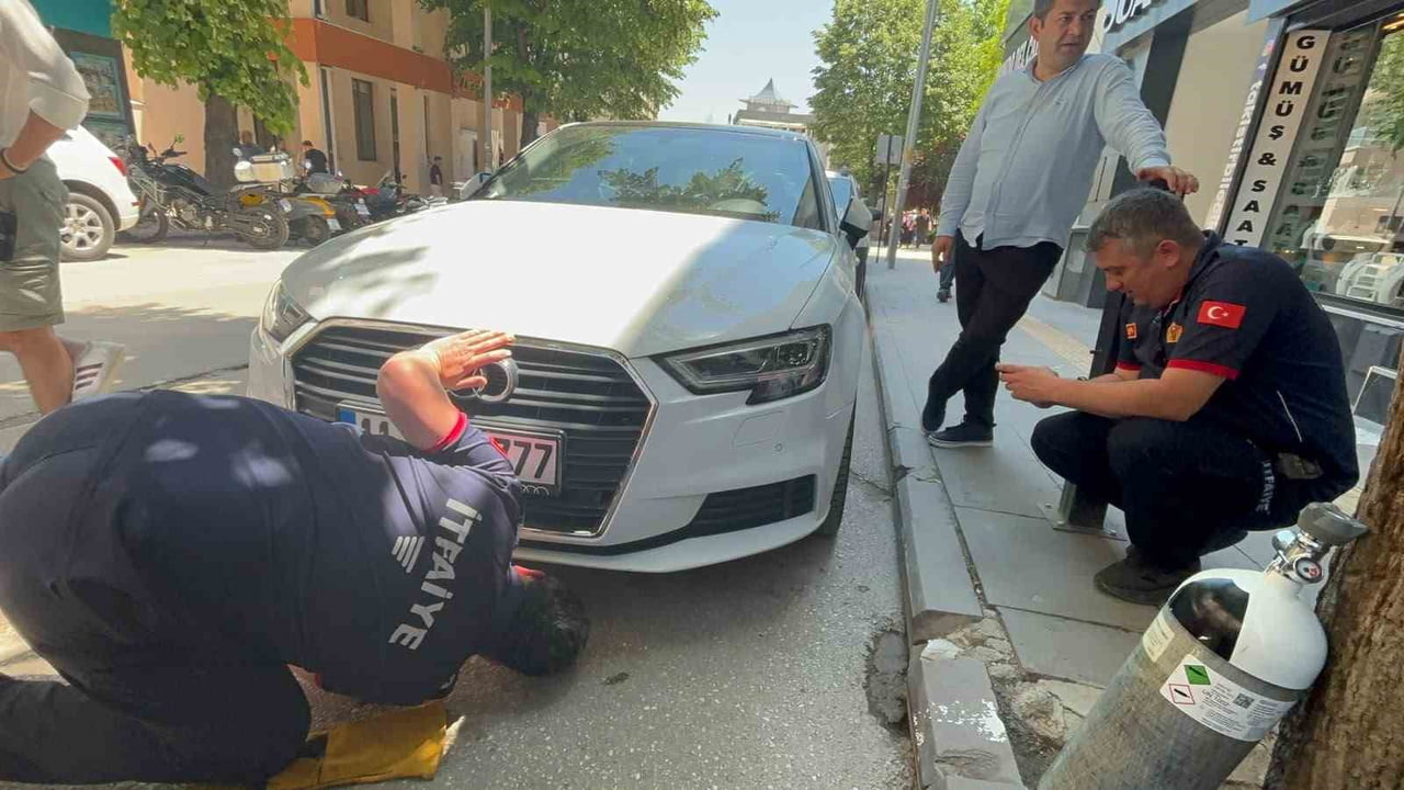 BİLECİK'TE BİR ARABANIN MOTOR KISMINA GİREN YAVRU KEDİ, ORADAN ÇIKIP KORKUYLA ÇEVREDEKİ BAŞKA...