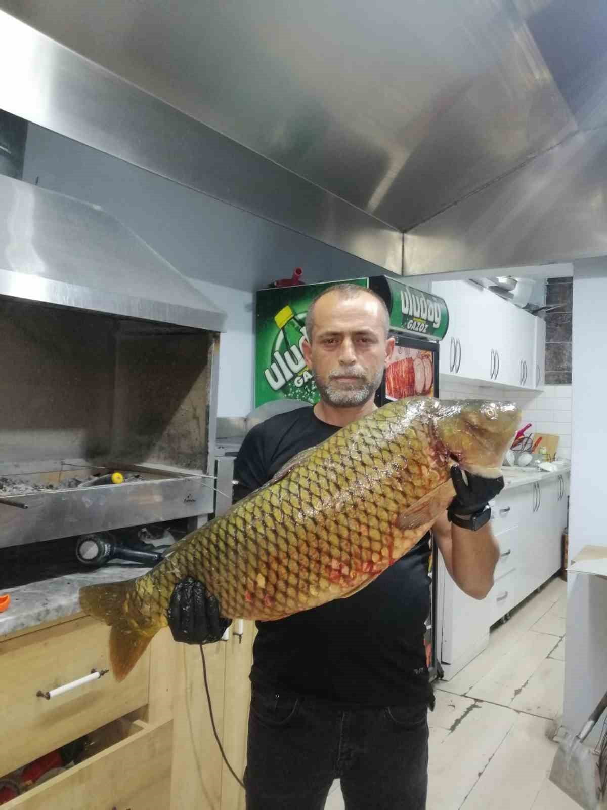 BİLECİK’TE DEV SAZAN BALIĞI YAKALANDI