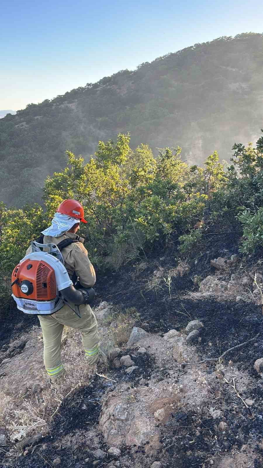 BİNGÖL’DE ÇIKAN ORMAN YANGINI BÜYÜMEDEN KONTROL ALTINA ALINDI