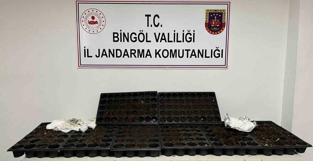 BİNGÖL’DE JANDARMADAN HUZUR VE GÜVEN UYGULAMASI: 4 TUTUKLAMA