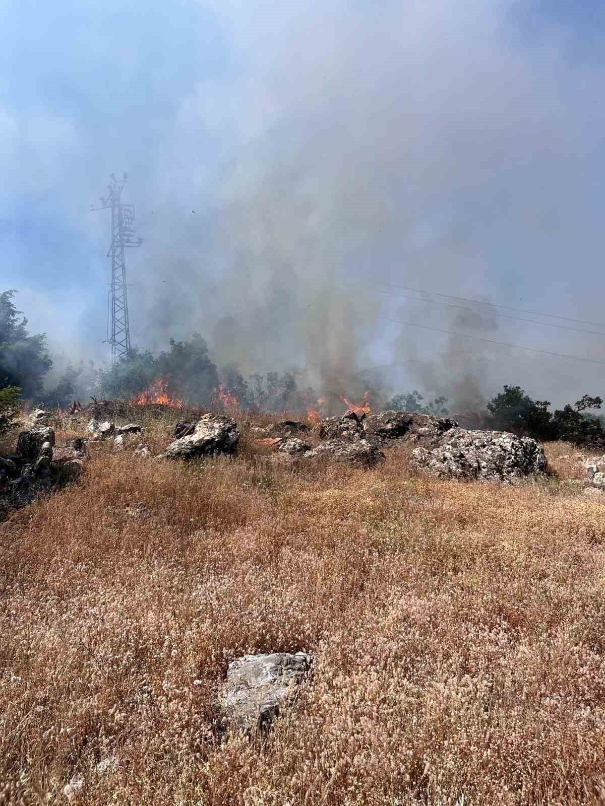 BİNGÖL’ÜN GENÇ İLÇESİNE BAĞLI GERÇEKLİ KÖYÜNDE ÇIKAN ORMAN YANGINI, EKİPLERİN ERKEN MÜDAHALESİYLE...