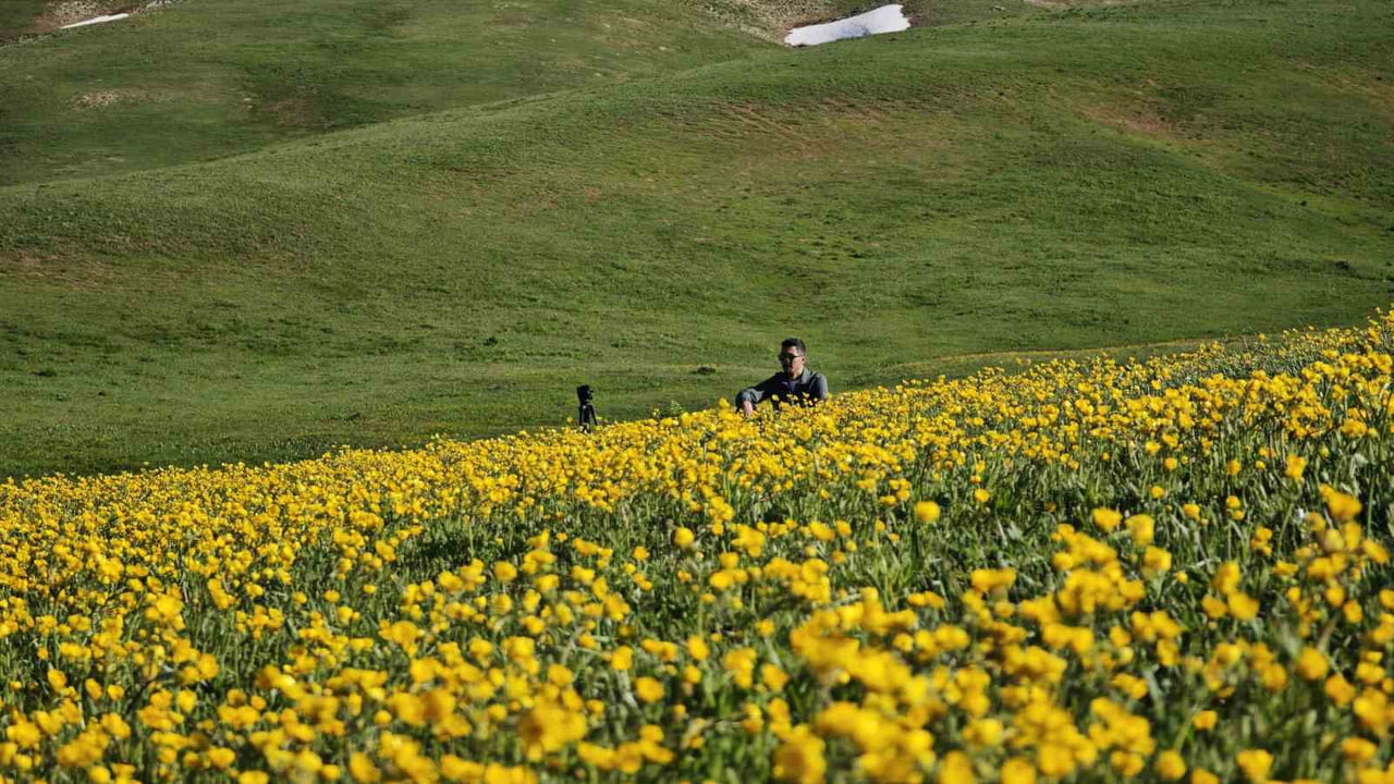BİTLİS’İN AHLAT VE ADİLCEVAZ İLÇELERİ SINIRLARI İÇERİSİNDE YER ALAN SÜTEY YAYLASI, BAHARIN...