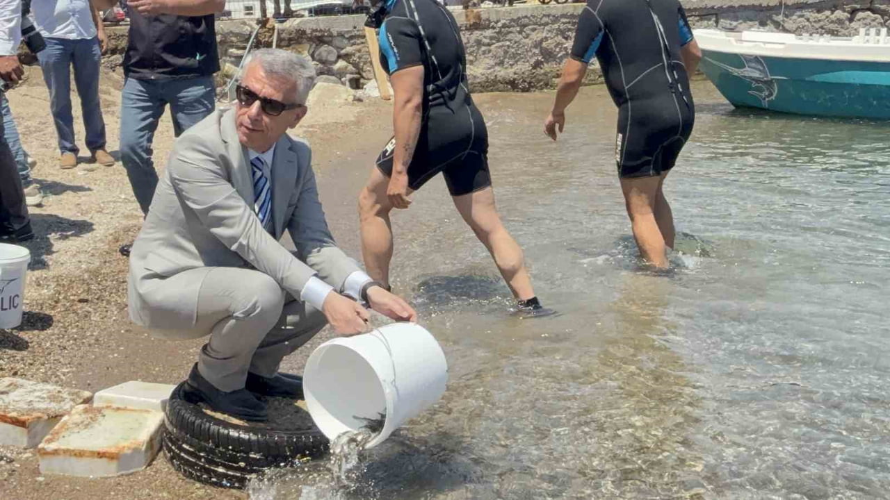 BODRUM’DA DENİZDEN ÇIKAN TEHLİKE: 2 BİN METREKARE HAYALET AĞ TEMİZLENDİ, BİNLERCE YAVRU BALIK...