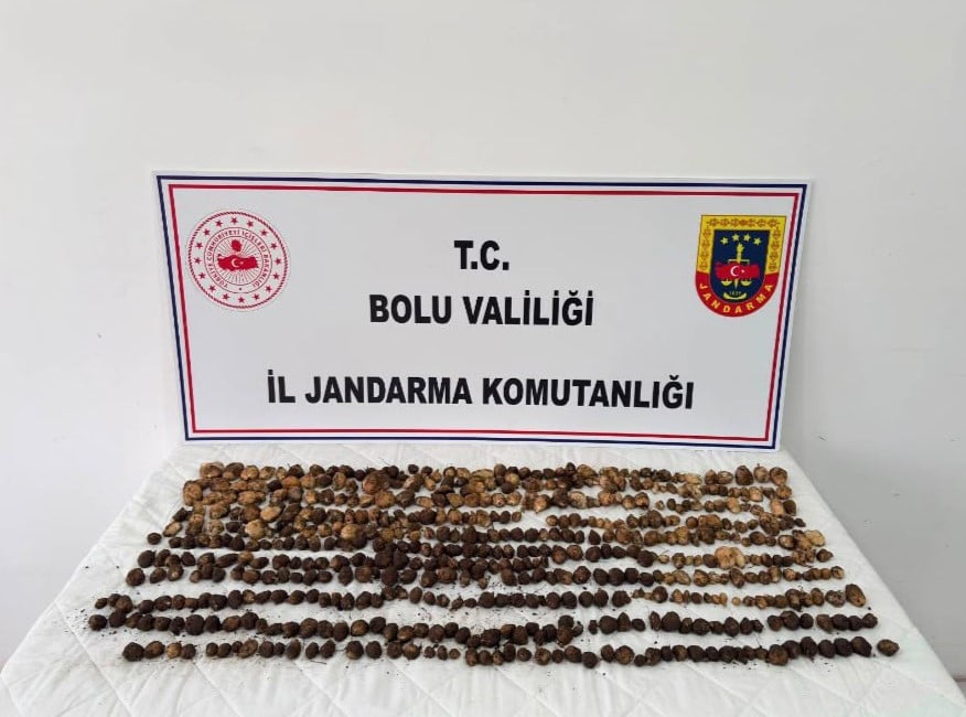 BOLU'NUN YENİÇAĞA İLÇESİNDE TOPLANMASI YASAK OLAN 4,5 KİLOGRAM YABANİ SALEP TOPLAYAN 3 KİŞİYE...