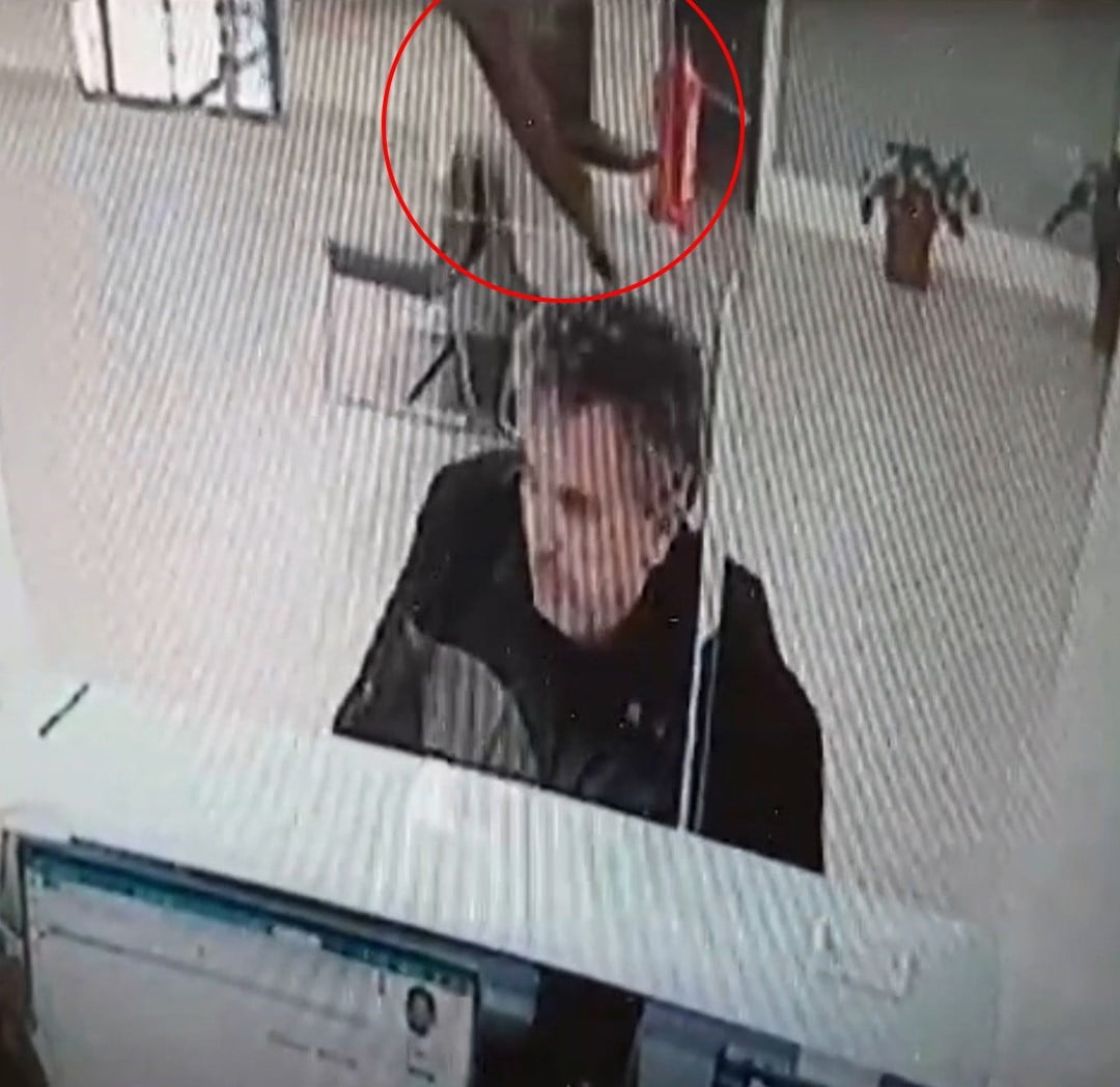 BOLU’DA BANKA ŞUBESİNDE İŞLEM YAPAN VATANDAŞIN ÜZERİNE ASMA TAVANDAN KEDİ DÜŞTÜ.