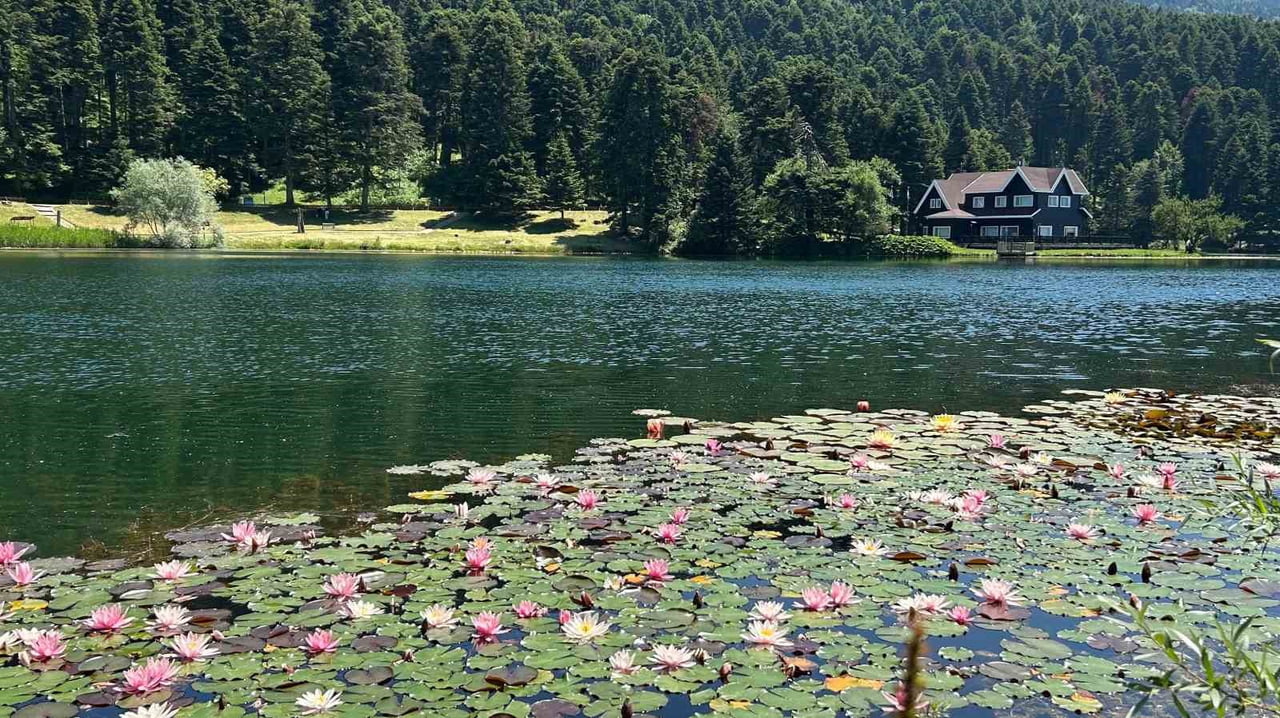 BOLU’NUN DOĞA HARİKALARI GÖLCÜK TABİAT PARKI VE ABANT GÖLÜ MİLLİ PARKI'NDA AÇARAK SULARI...