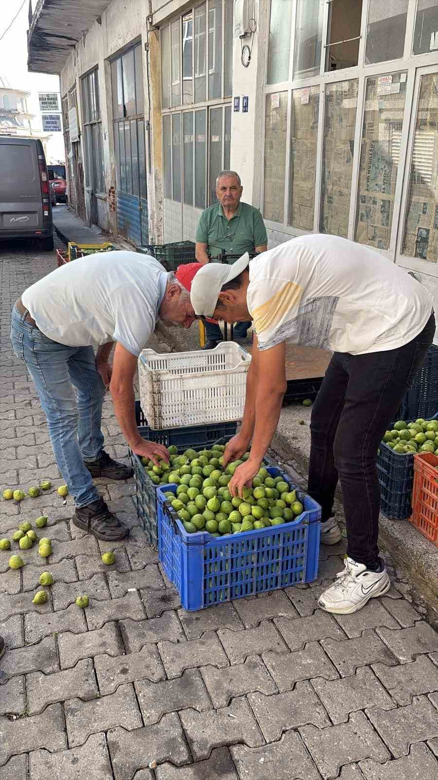 BOZDOĞAN İLEĞİ KALİTESİYLE ÜRETİCİLERİN İLK TERCİHİ ARASINDA