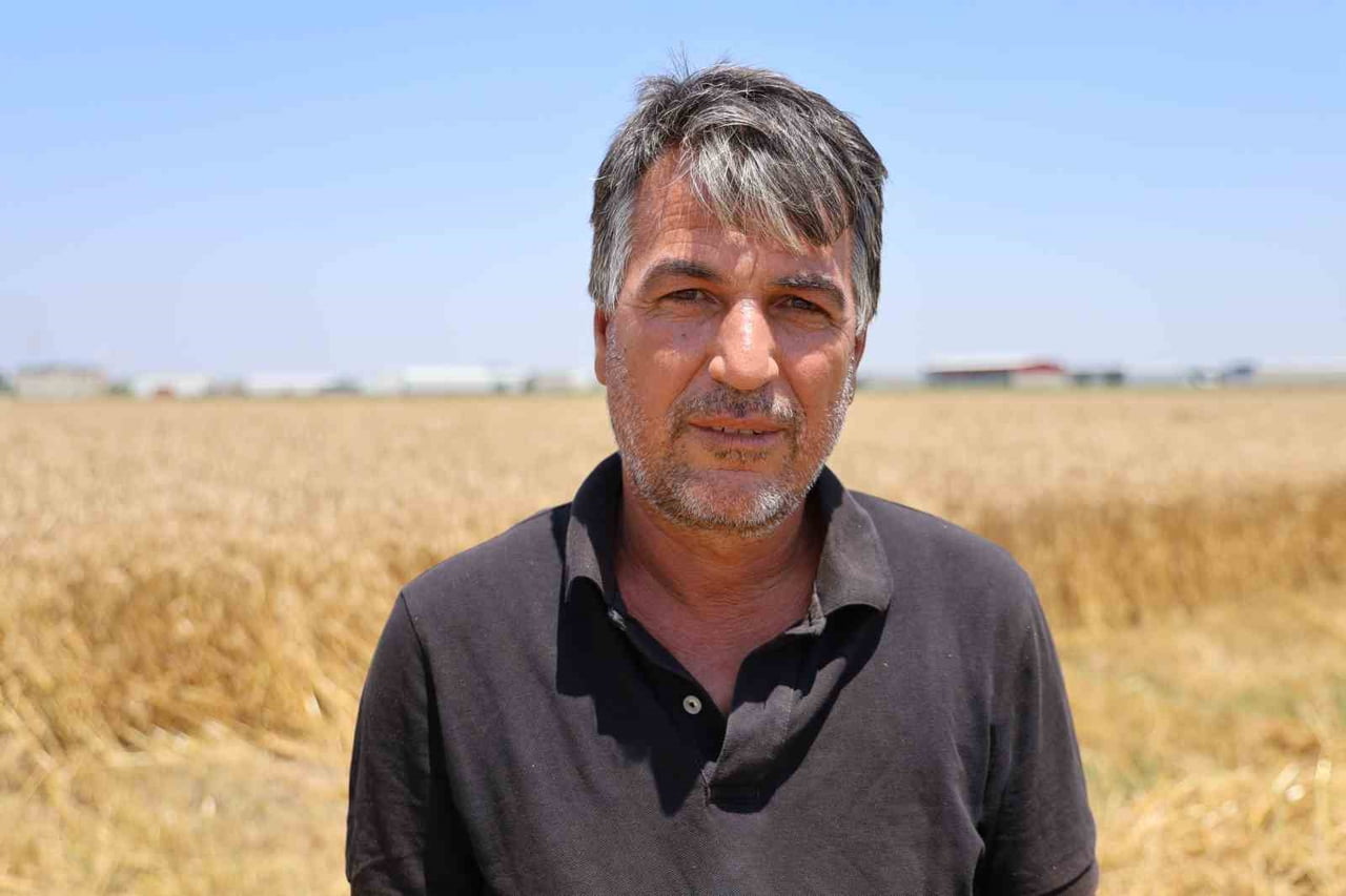 BUĞDAY HASADI YAPAN ÜRETİCİ MEHMET KAYA İSE VERİMDEN MEMNUN OLDUKLARINI İFADE ETTİ.