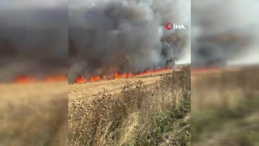 Buğday tarlası alev alev yandı