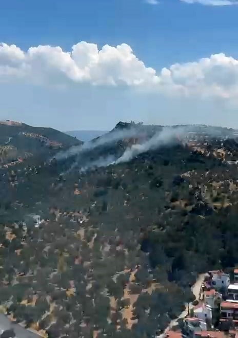 BURHANİYE’DEKİ ZEYTİNLİK YANGINI KONTROL ALTINA ALINDI