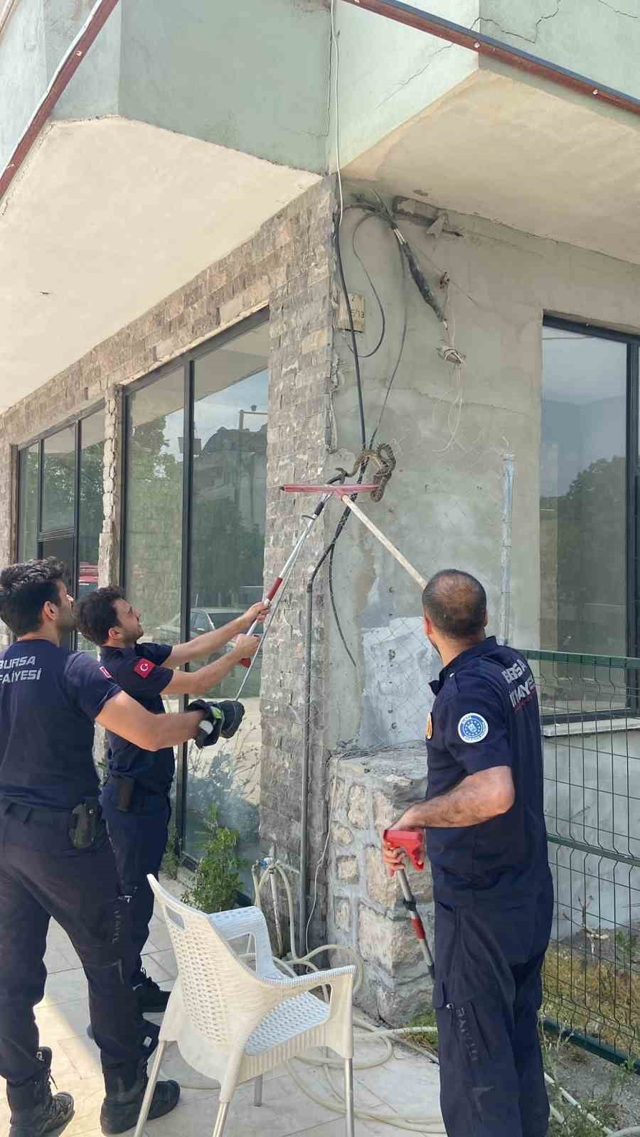 BURSA'DA İŞ YERİNE GİREN YILAN PANİĞE NEDEN OLDU