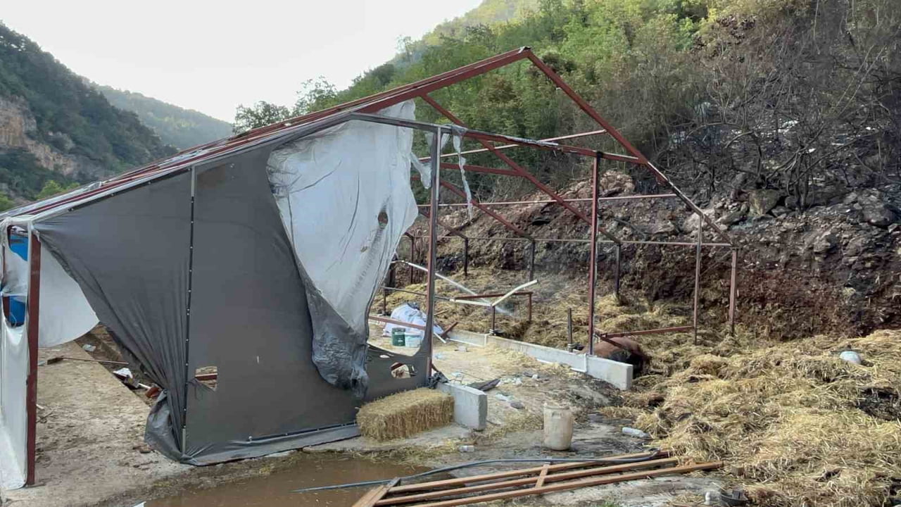BURSA'DA ORMANLIK ALANA SIÇRAYAN YANGINA İLİŞKİN YÜRÜTÜLEN SORUŞTURMADA 1 ŞÜPHELİ GÖZALTINA...