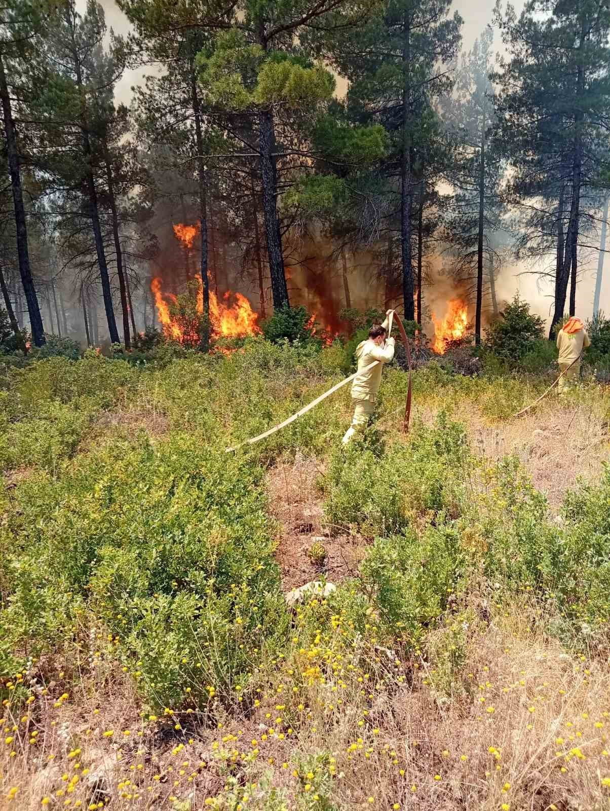 BURSA'DA ORMANLIK ALANDA MEYDANA GELEN YANGINDA DUMANLAR YÜKSELMEYE DEVAM EDERKEN EKİPLER YOĞUN...