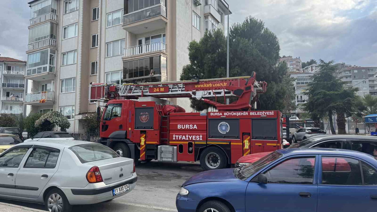 BURSA'NIN MUDANYA İLÇESİ ÖMERBEY MAHALLESİ MUHTARLIĞI ÖNÜNDE BİR AĞACA TAKILAN KARGA EKİPLERCE...