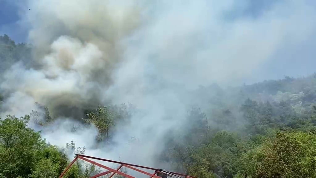 BURSA'NIN ORHANELİ YOLU GÖKÇEÖREN MEVKİSİNDE TARIM ALANINDA BAŞLAYAN YANGIN, RÜZGARIN ETKİSİYLE...
