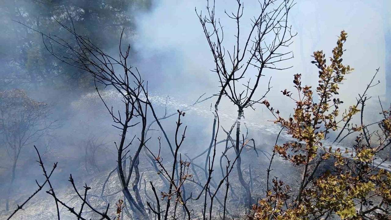BURSA’NIN GEMLİK İLÇESİNDE PİKNİK ALANI YAKINLARINDA ÇIKAN YANGIN, EKİPLERİN ZAMANINDA...