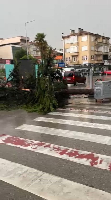 BURSA’NIN YENİŞEHİR İLÇESİNDE SAĞANAK YAĞMUR VE DOLU YAĞIŞI, HAYATI OLUMSUZ ETKİLEDİ. RÜZGARDAN...