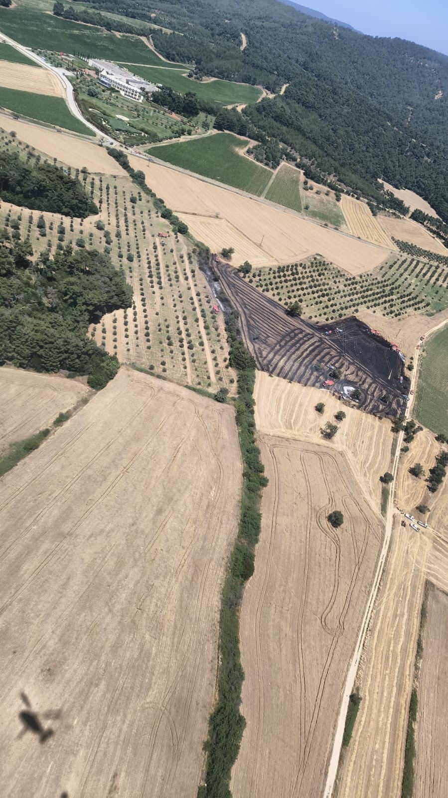 ÇANAKKALE'DE TARIM ARAZİSİNDE BAŞLAYAN ANIZ YANGINI ORMANLIK ALANA SIÇRAMADAN ORMAN BÖLGE...