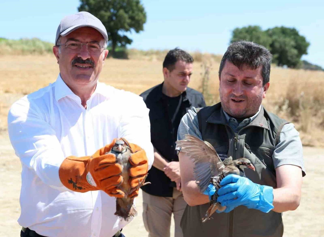ÇANAKKALE’DE 2026 YILI KANATLI YABAN HAYVANI YERLEŞTİRME PROGRAMI KAPSAMINDA TROYA TARİHİ MİLLİ...