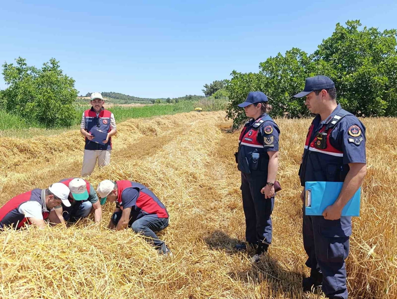 ÇANAKKALE’DE ORMAN VE ANIZ YANGINLARININ ÖNLENMESİ AMACIYLA BİÇERDÖVER VE BALYA MAKİNELERİNDE...