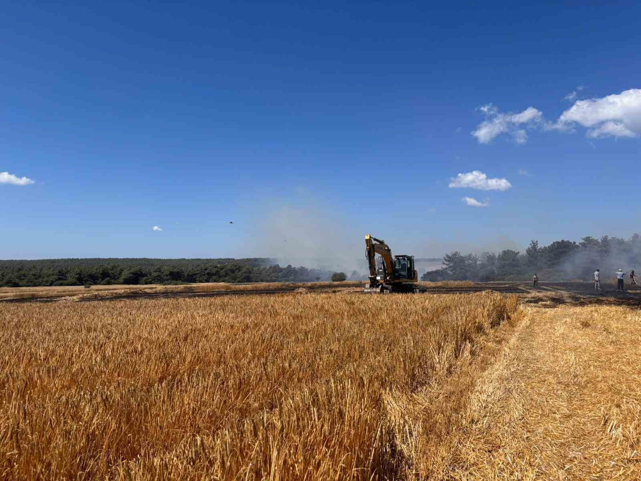 ÇANAKKALE’NİN ECEABAT İLÇESİNDE TARIM ARAZİSİNDE ÇIKARAK ORMANLIK ALANA SIÇRAYAN YANGIN ORMAN...