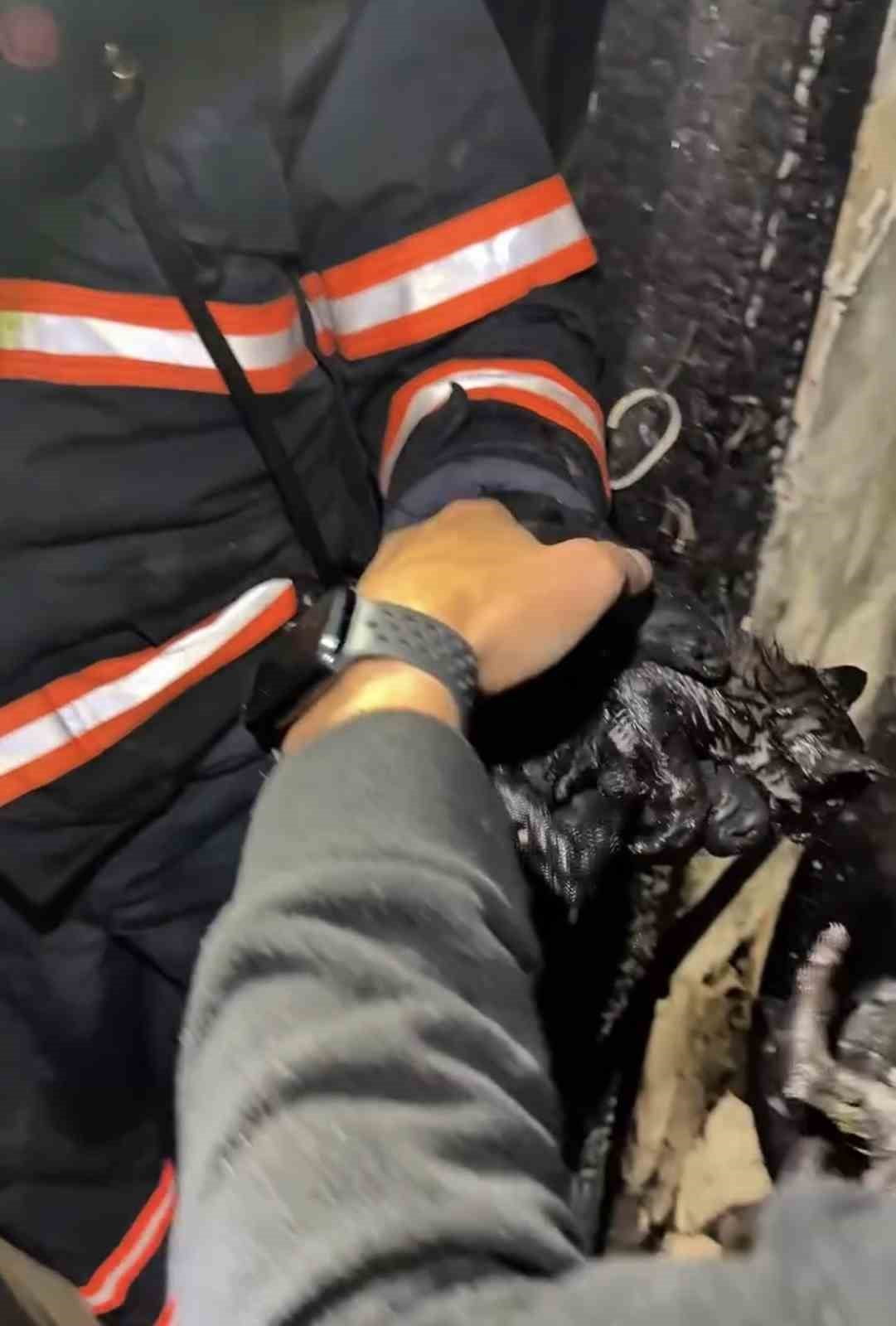 ÇANKIRI'DA METRUK BİR EVDE ÇIKAN YANGINDA İÇERİDE MAHSUR KALAN YAVRU KEDİLER, İTFAİYE EKİPLERİ...