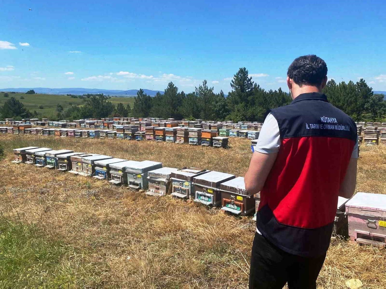 ÇAVDARHİSAR’DA ARILI KOVAN SAYIMI GERÇEKLEŞTİRİLDİ