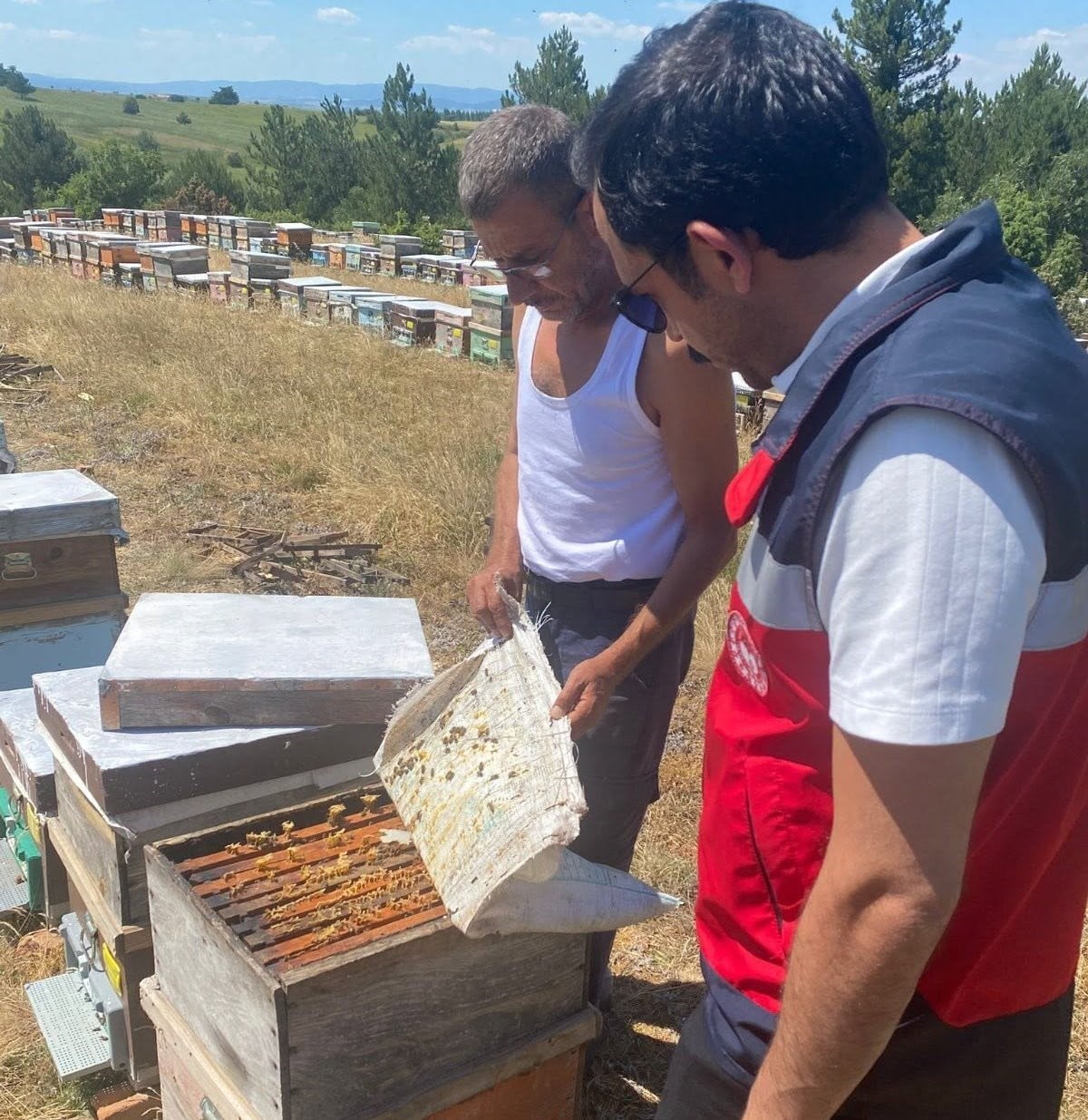 ÇAVDARHİSAR’DA ARILI KOVAN SAYIMI GERÇEKLEŞTİRİLDİ