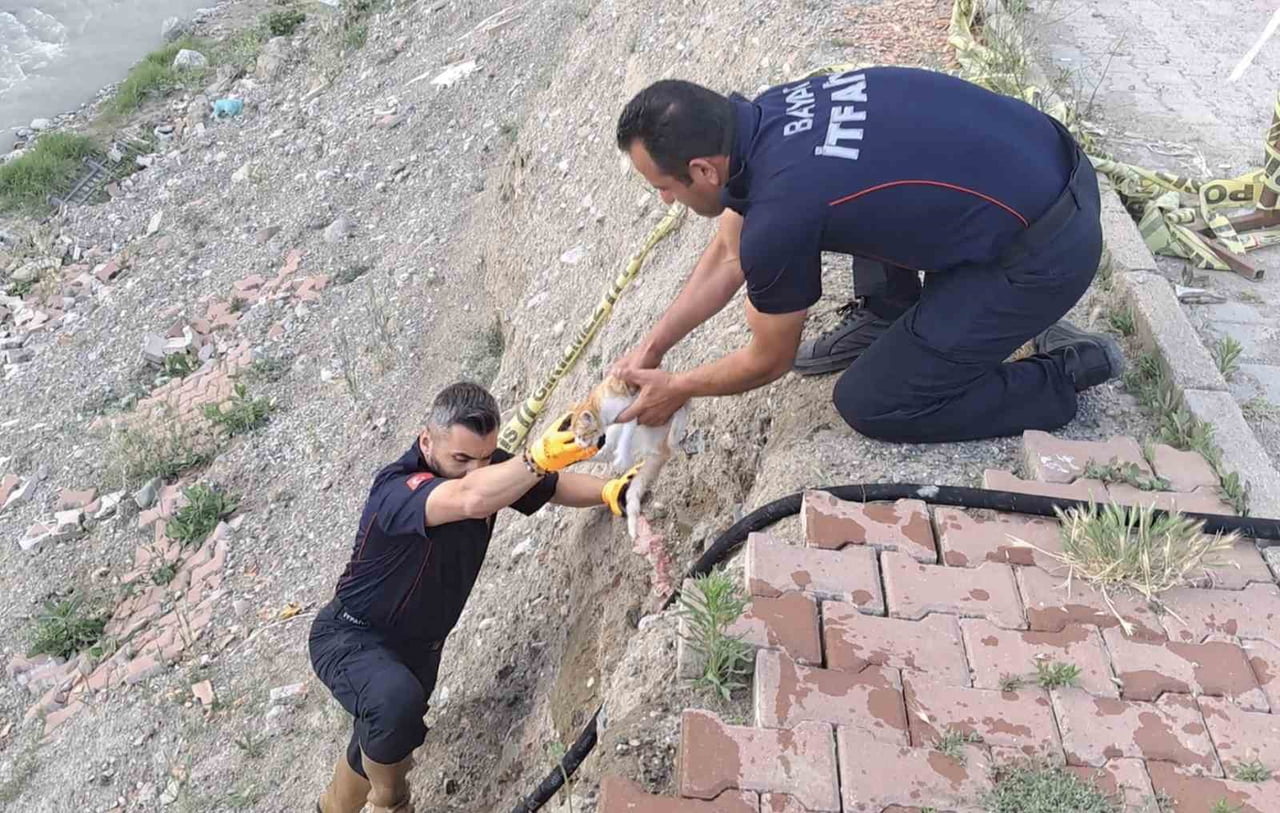 ÇAYA DÜŞEN KEDİ İTFAİYE EKİPLERİ TARAFINDAN KURTARILDI
